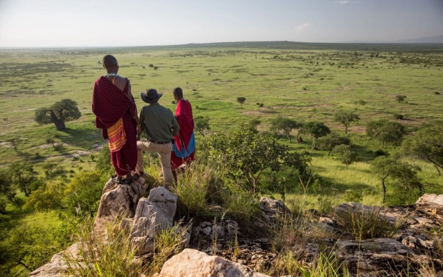 Elewana Tarangire Treetops