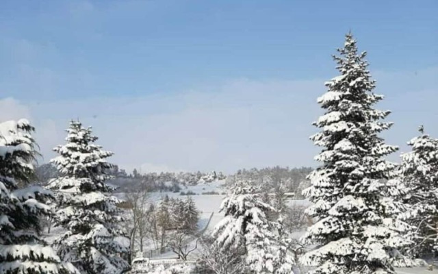 Bungalow With Terrace in Harz Mountains