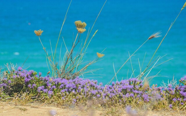 Beautiful Apartment in Peschici With Wifi and 2 Bedrooms