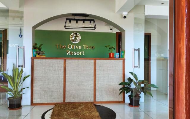 Olive Tree Resort
