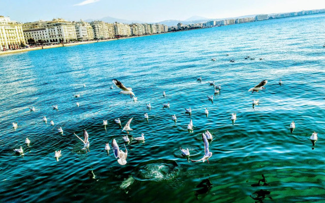 Near the sea!Unique crystal apartment with amazing view