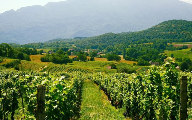 Domaine Carrel & Senger