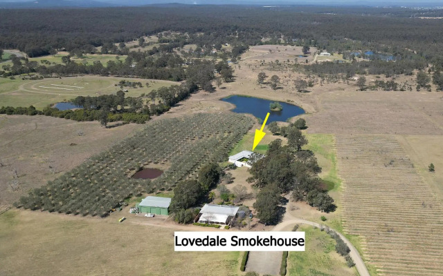 Olives and Vines at Majors Lane