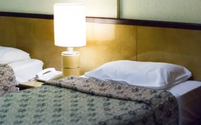 PalmLeaf Grand Premium