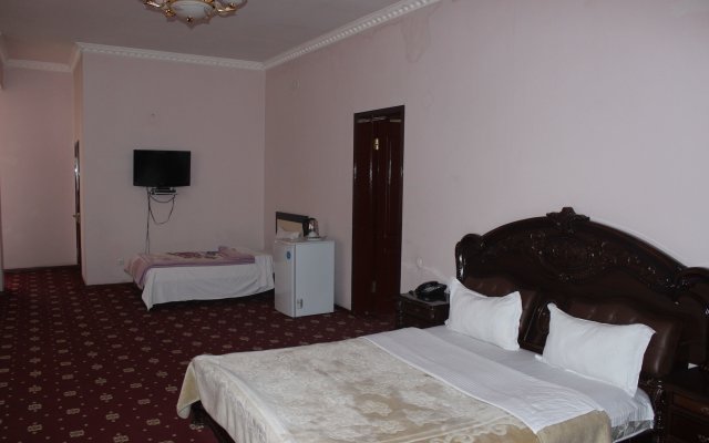 Hotel Sarvar