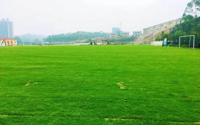 Qingyuan Hengda Yilin Yashe Drifting Holiday Villa