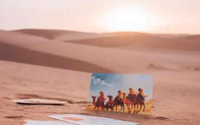 Moxigo Desert Camp