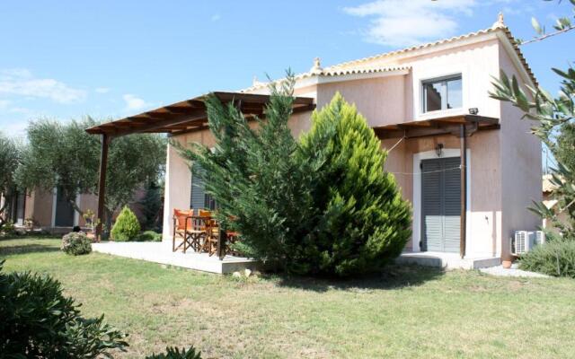 Vassia 2