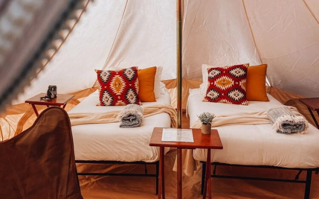 Wander Camp Grand Canyon