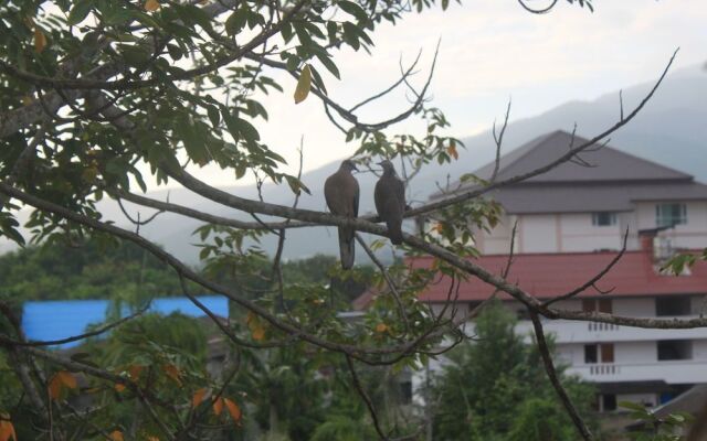 Urban House 195 by Bunk