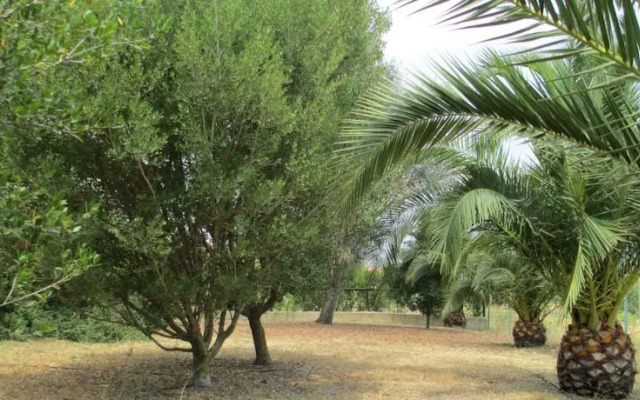Agriturismo Il Nuraghe