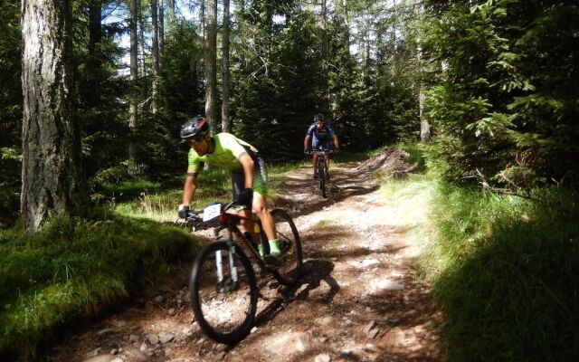 Lago Maggiore Holiday House With Panoramic Views