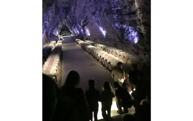 South of France Modern Retreat