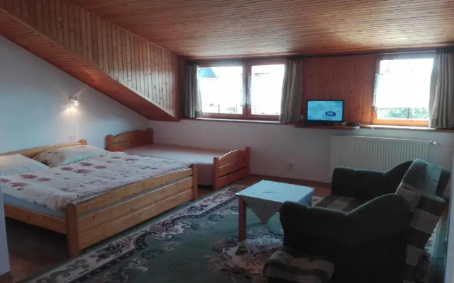 Vila Mirka
