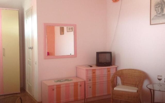 U Treh Roz Guest House