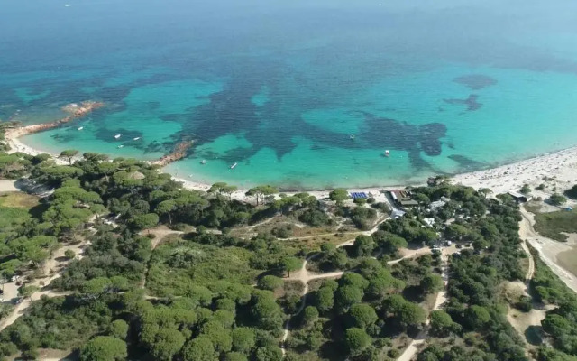 Palombaggia location i pini