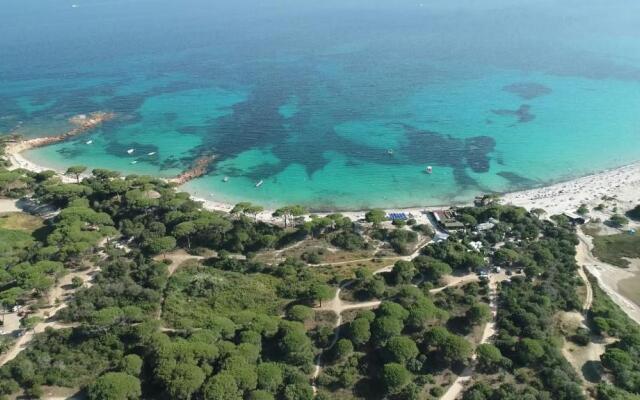 Palombaggia location i pini