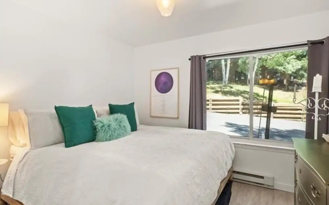 Remodeled Snowmass Pet-Friendly Modern 1BR Condo - G125