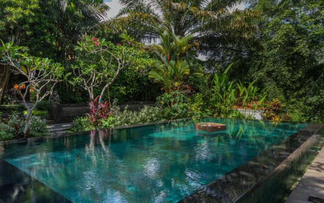 Sari Bamboo Villas