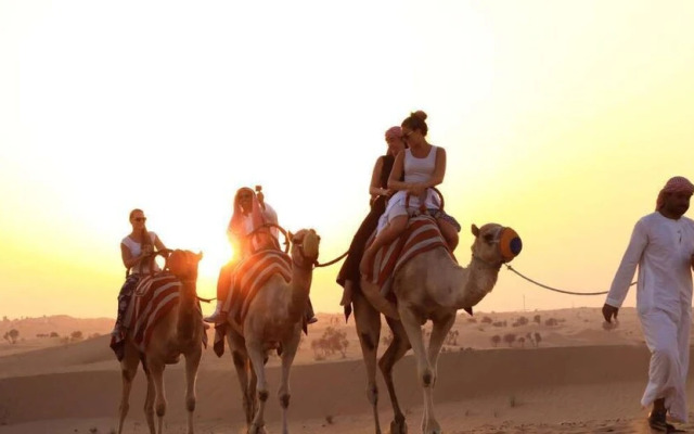 Golden Desert Camp