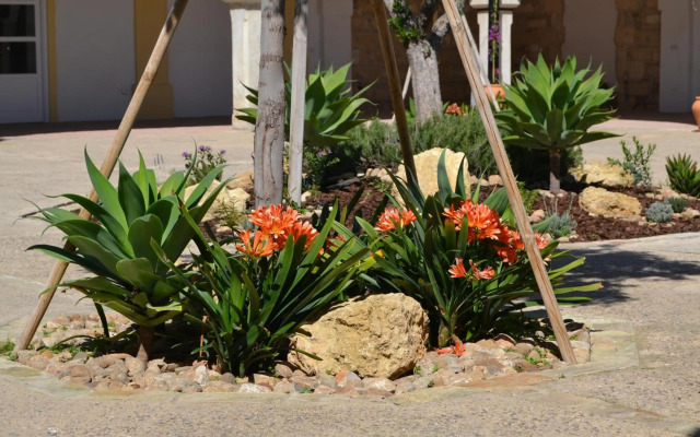 Sherryflat Bodega San Blas