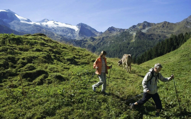 Alluring Apartment in Kolsassberg With Private Garden