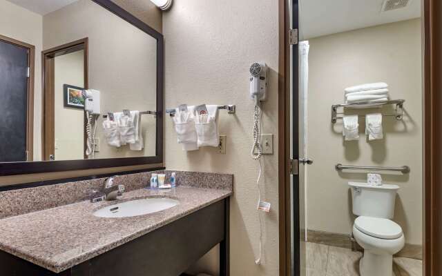 Comfort Inn Asheville East-Blue Ridge Pkwy Access