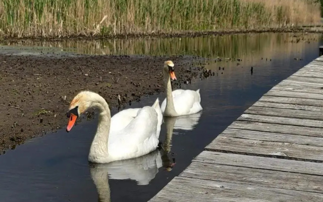 Domki letniskowe PLUSK