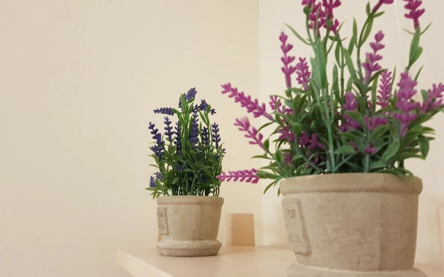 Stirling Central Apartment