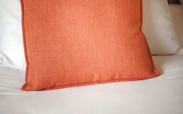 Tsitsikamma Backpackers