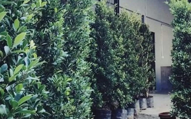 Bedbox Vientiane Hostel