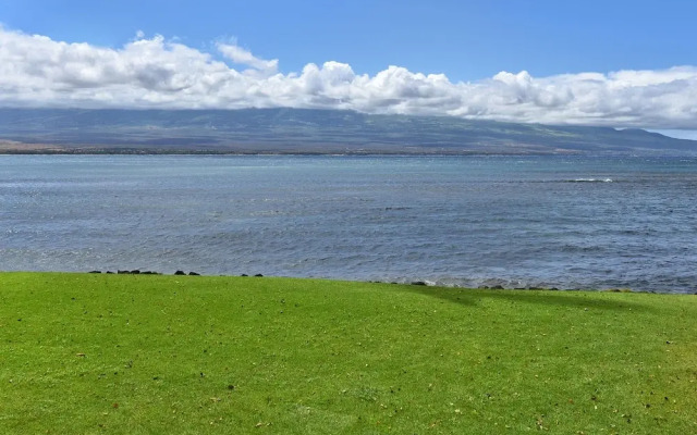 Lauloa 105