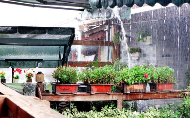Lijiang He Mu Ju Inn Zhongyi