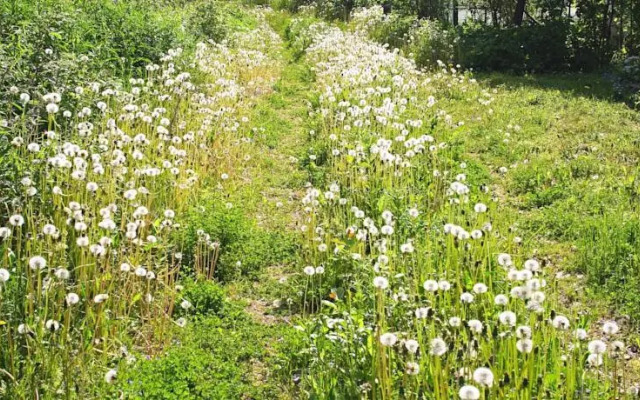 Kaberneeme Vacation House