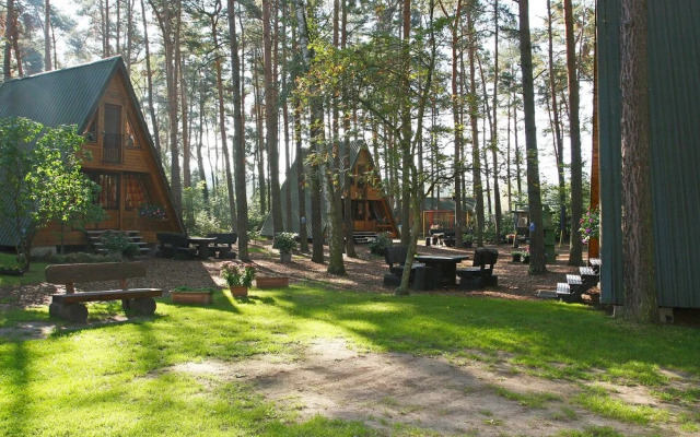 Nepumuk Arendsee Altmark