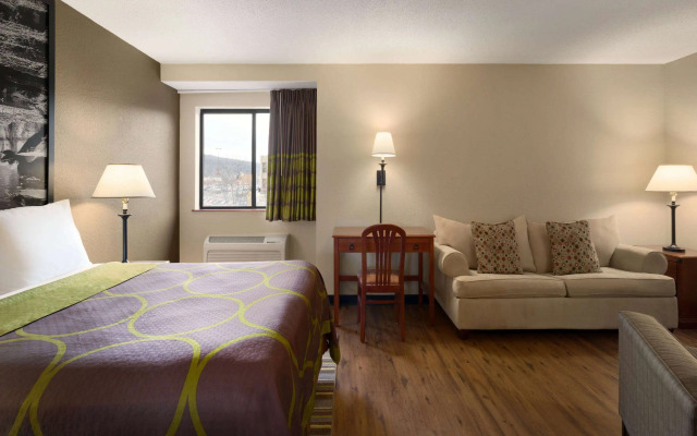 Super 8 by Wyndham Ithaca