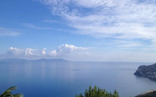 Larosadelmare
