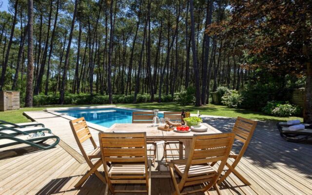 Clairière aux Chevreuils (MLP533)