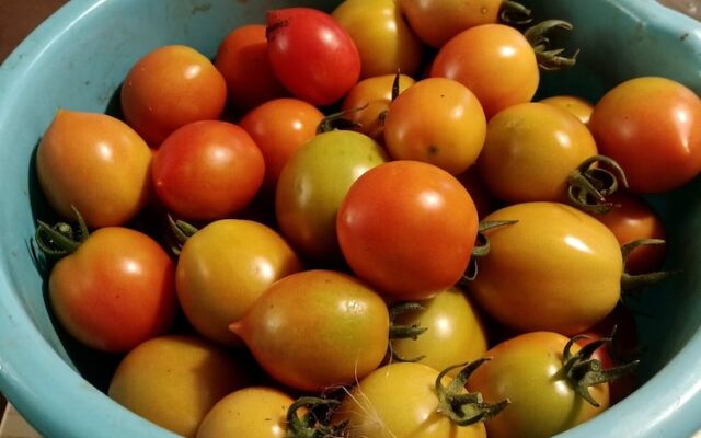 Casa Vacanze Mareggiata