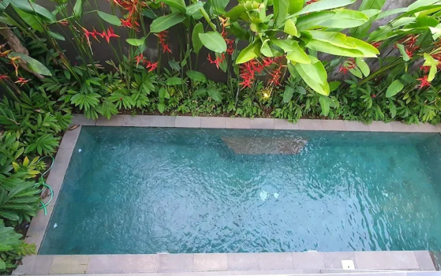 Ubud Diary