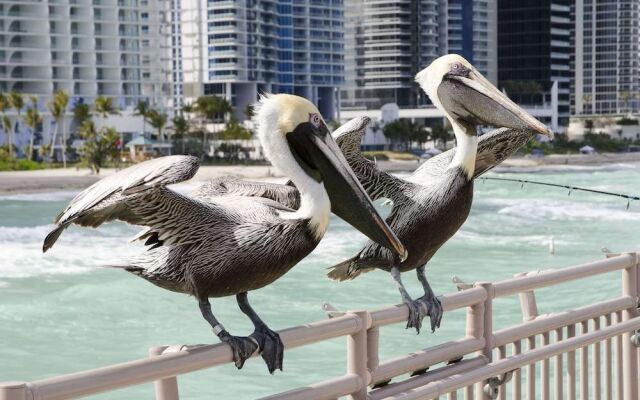 Intracostal Sunny Isles