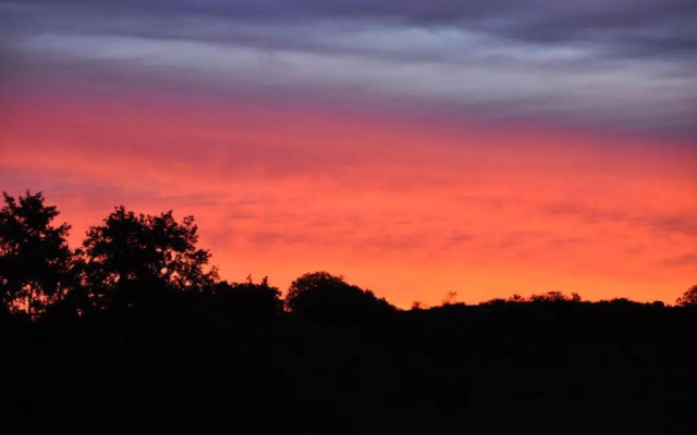 La Cerca Del Alcornoque