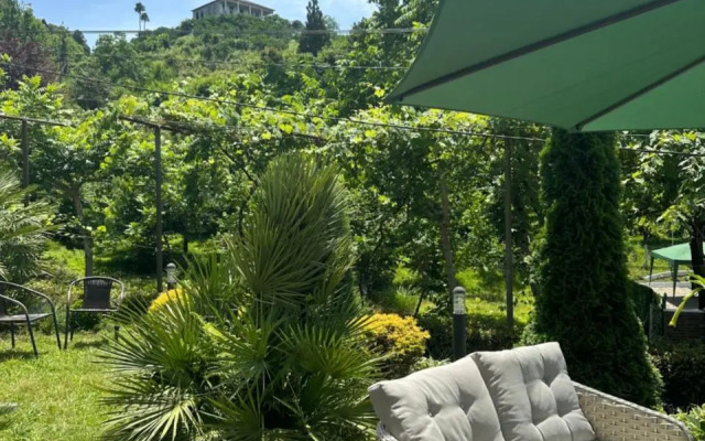 Summer in Tsikhisdziri