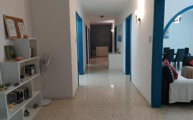 University Area Msida