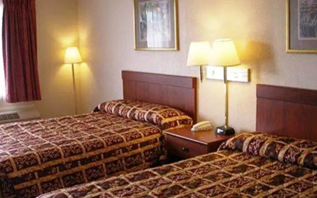Hampton Bay Plaza & Suite