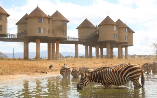 Salt Lick Safari Lodge