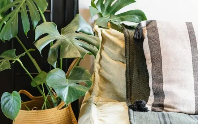 STAY Lagom Coastal House
