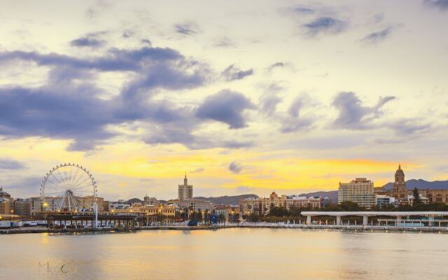 Frida Málaga Centro