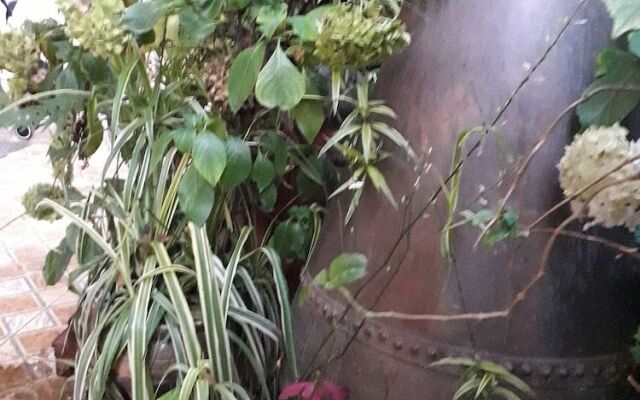 The Secret Garden Home Cusco