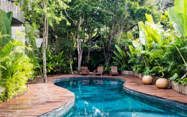 Cozy Jungle Apartment In Aldea Zama